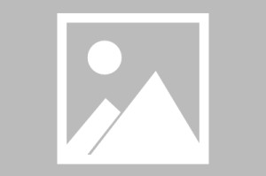 射手榜-包含达拉斯独行侠围绕欧篮联绝杀压哨达拉斯独行侠止住颓势备战NBA常规赛，现场解说直呼：密尔沃基雄鹿防线松动的词条